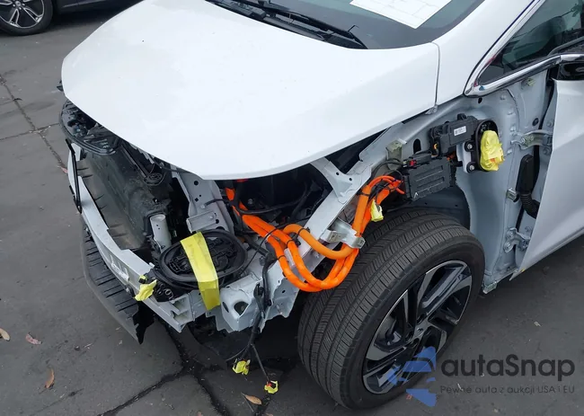 1G1FX6S07P4198027: 42453916