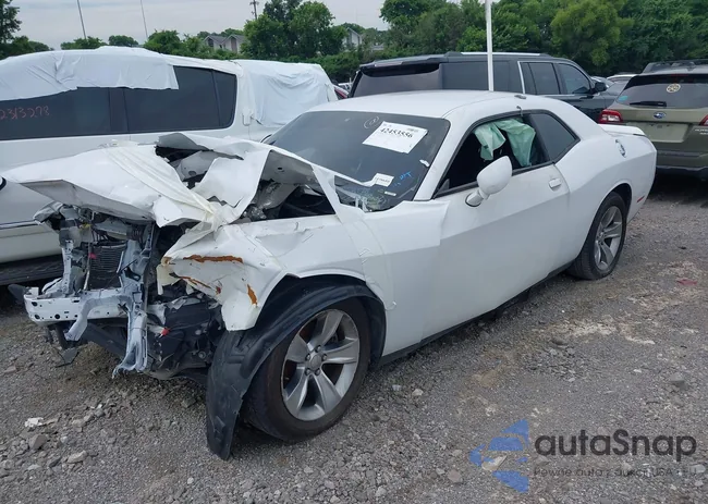 2C3CDZAG1LH226490: 42453556