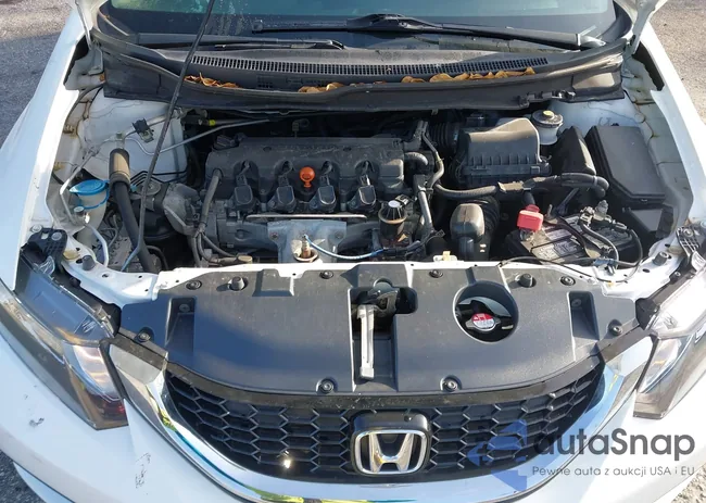 19XFB2F87FE007735: 42453608