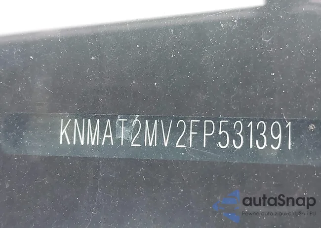 KNMAT2MV2FP531391: 42454861