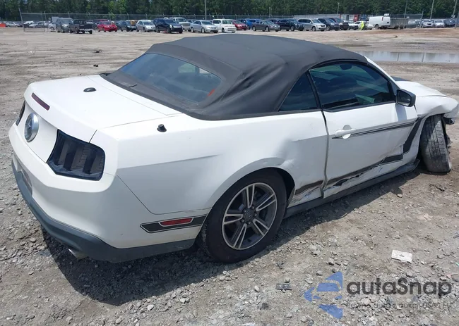 1ZVBP8EM6C5235229: 42454424