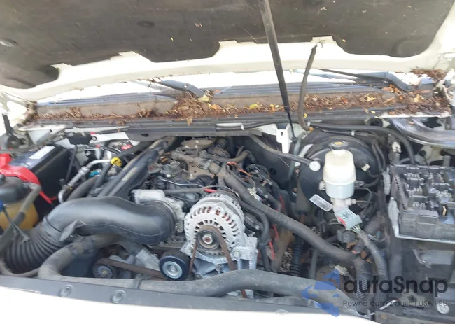 3GNEC12037G194102: 42454533