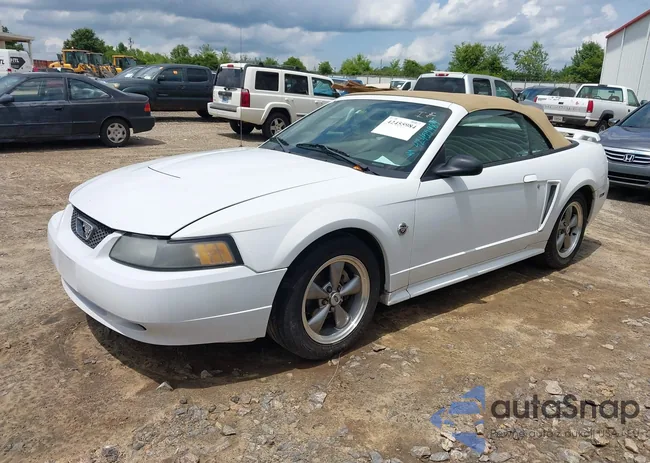 1FAFP44644F193077: 42455984