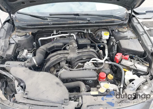 4S4BTADC3N3159333: 42456090