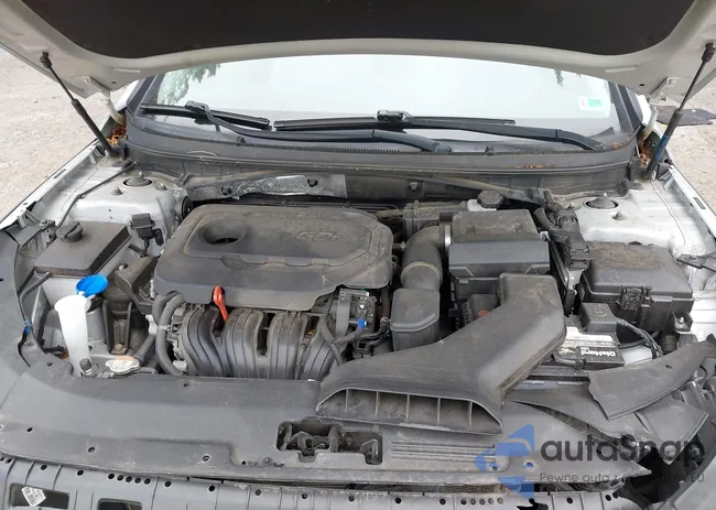 5NPE24AF8JH678591: 42456121