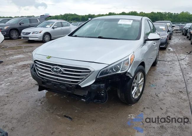 5NPE24AF9HH570166: 42456339