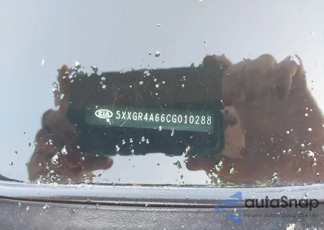 5XXGR4A66CG010288: 42456368