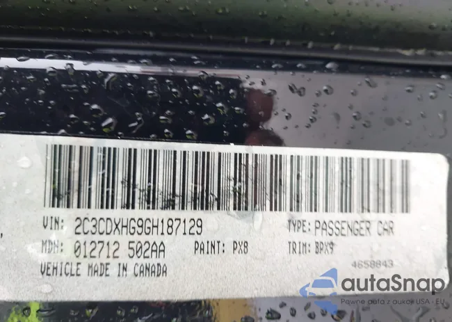 2C3CDXCT0KH631916: 42458069