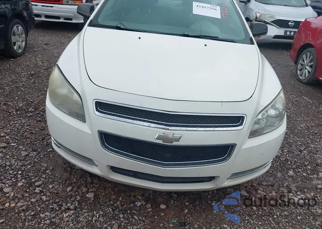 1G1ZG57B98F172276: 42457556