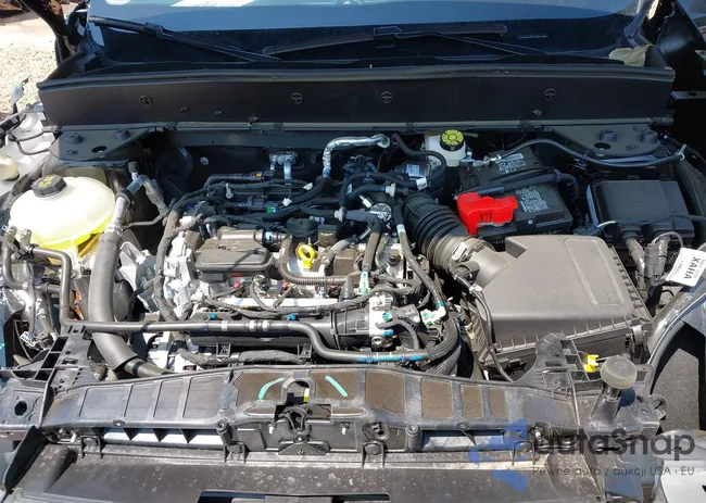 3FMCR9B6XRRF43809: 42459324