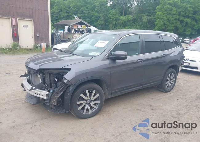 5FNYF6H51KB065223: 42459516