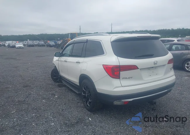 5FNYF6H99JB012111: 42459694