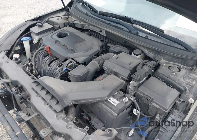 5NPE24AF4JH656913: 42460554