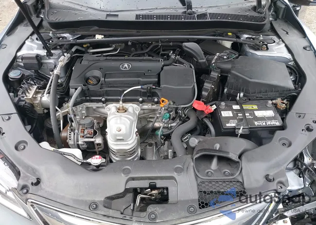 19UUB1F53FA030120: 42460571