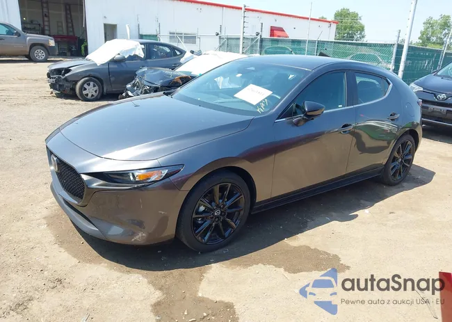 JM1BPAKM1S1763507: 42461811