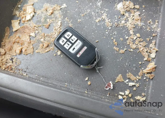 5FNRL5H90FB065004: 42461597