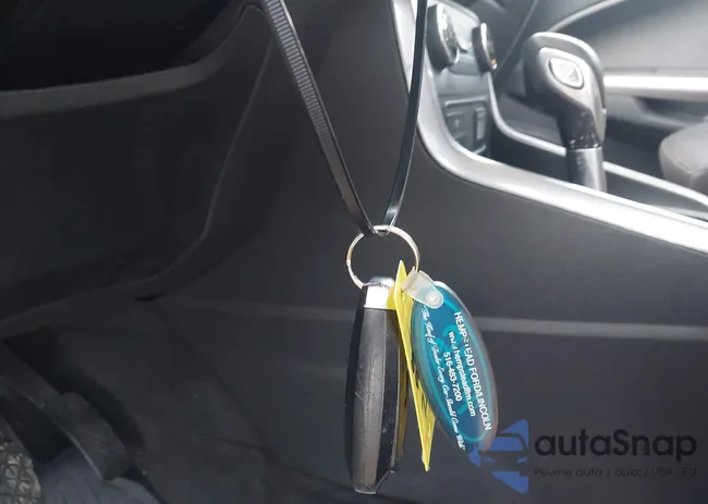 MAJ6S3GL4KC288635: 42462901