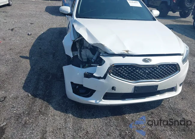 KNALN4D7XF5193733: 42464063