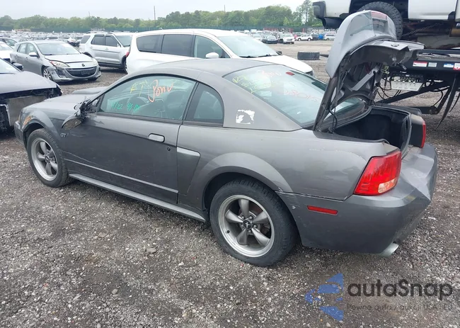 1FAFP42X63F403253: 42464406