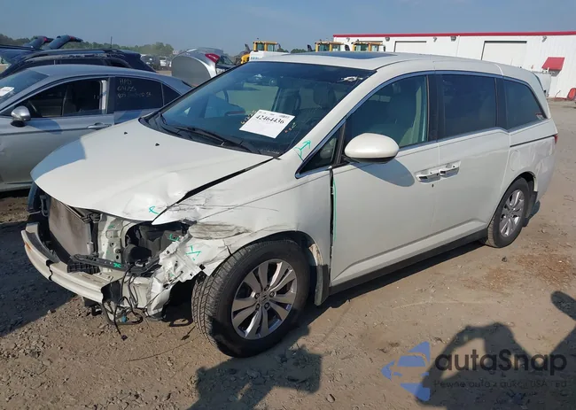 5FNRL5H65FB009372: 42464436