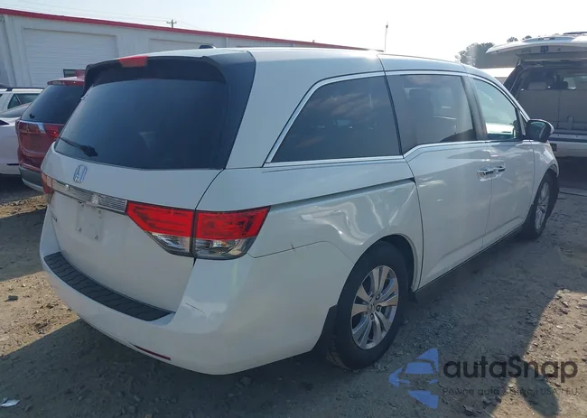 5FNRL5H65FB009372: 42464436