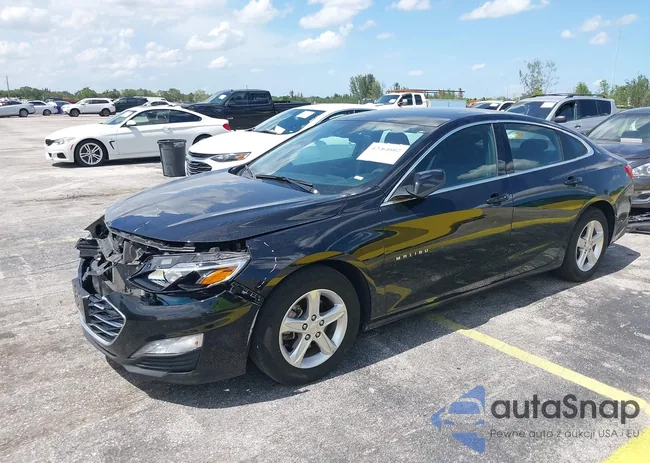 1G1ZD5ST5RF124767: 42464602