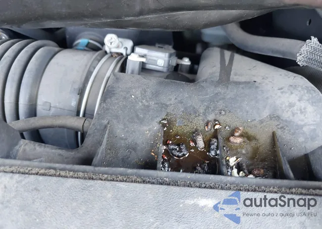 2T2BK1BA2DC202991: 42466029