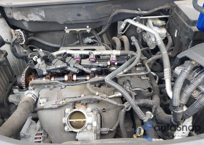 2GNALPEK0D6295765: 42466236