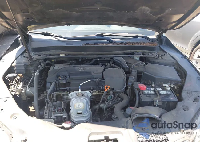 19UUB1F59FA010339: 42467644