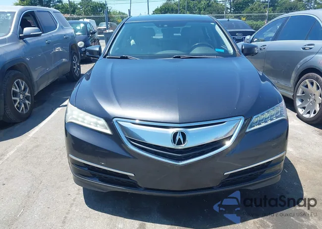 19UUB1F59FA010339: 42467644