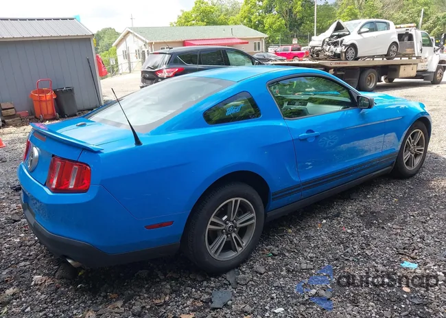 1ZVBP8AN4A5131012: 42468965