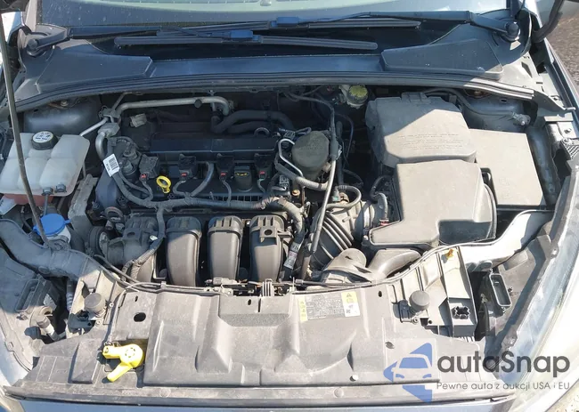 1FADP3F28FL209796: 42469458