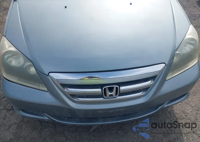 5FNRL38687B033879: 42470683