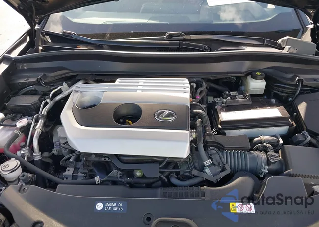 JTHP3JBH3M2032884: 42472162