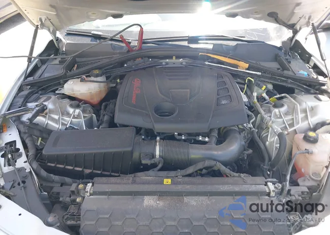 ZARFAMBN8K7605343: 42472560