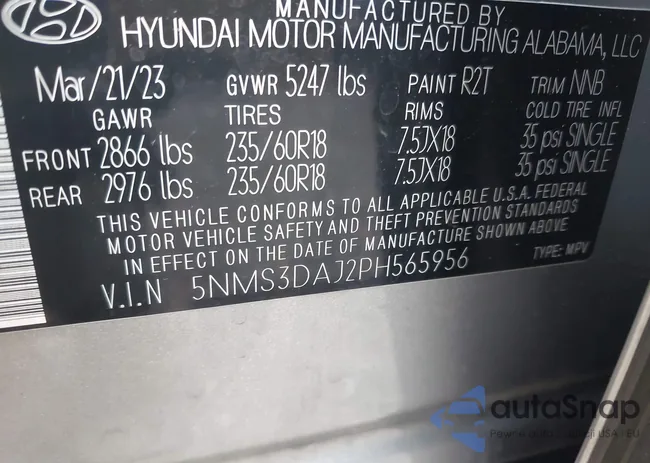 5NMS3DAJ2PH565956: 42475955