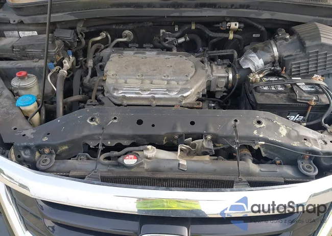 5FNRL3H91AB044045: 42477551