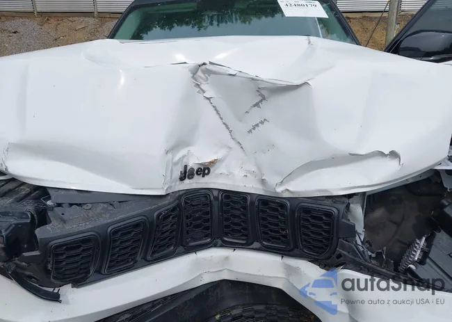 1C4RJKBG6P8719663: 42480179