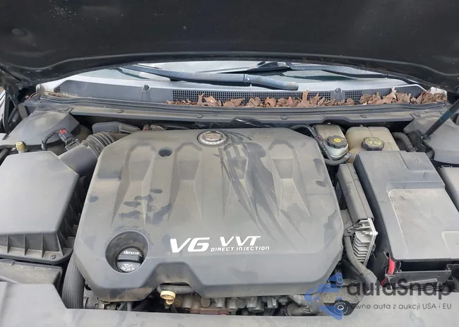 2G61P5S34D9183910: 42479531