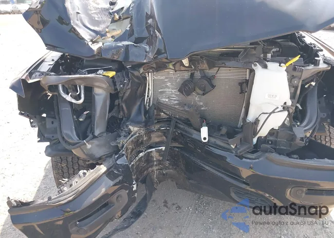 1C6SRFFT0NN119106: 42481020