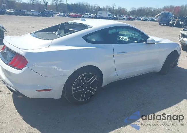 1FA6P8TH4P5109778: 42481198