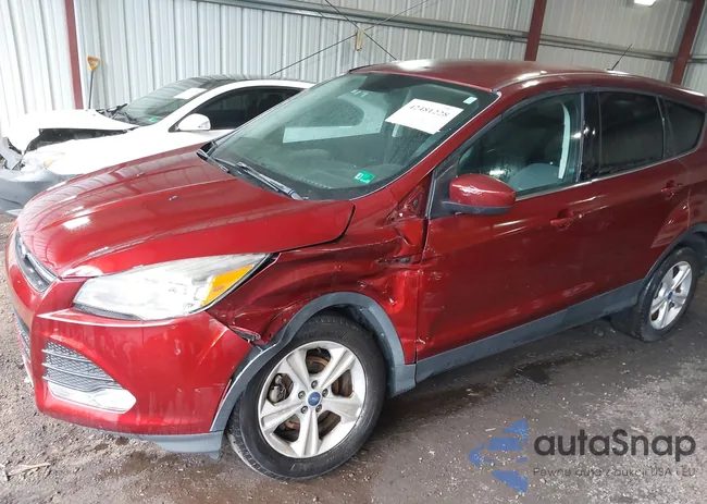 1FMCU0GX2EUB81392: 42481228