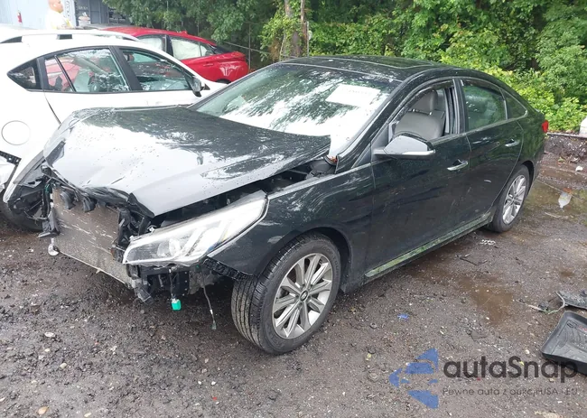 5NPE34AF5GH380800: 42480533