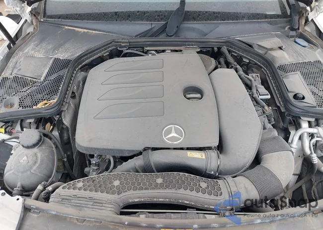 W1KWF8DB1MR615957: 42481816