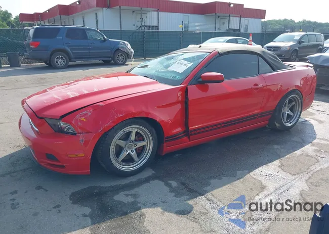 1ZVBP8EM5E5311820: 42481902