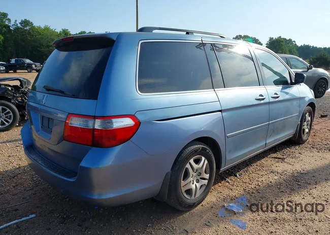 5FNRL38627B077246: 42481331