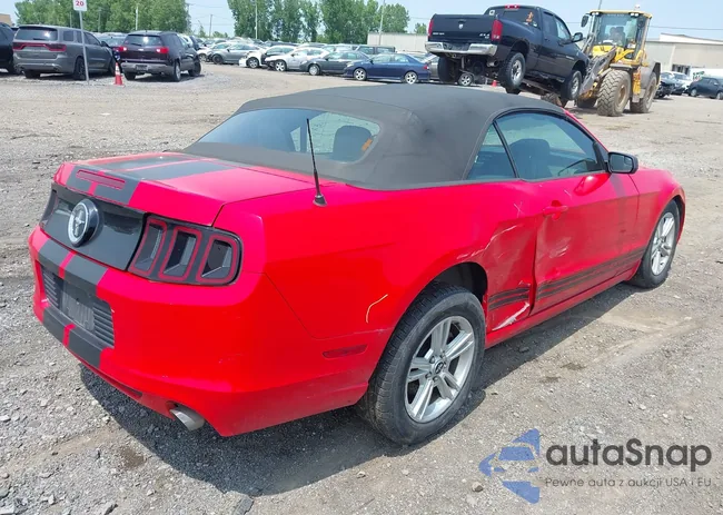 1ZVBP8EM7E5275774: 42482769