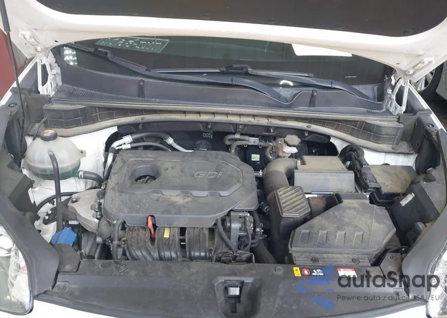 KNDP6CAC7M7853709: 42483005