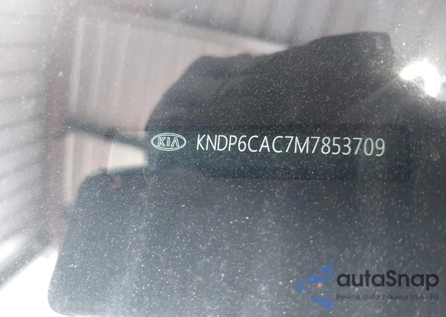 KNDP6CAC7M7853709: 42483005