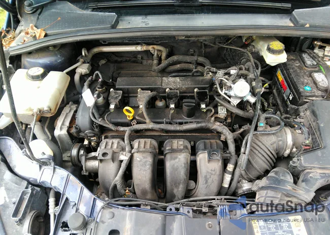 1FADP3M2XHL214293: 42483187